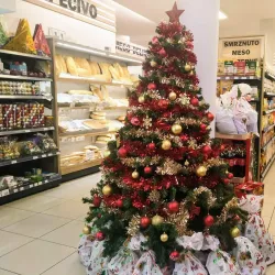 Aleksinac Market - Aleksinac