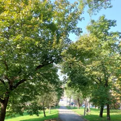 Aleksinac Museum - Aleksinac