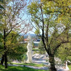 Aleksinac Museum - Aleksinac