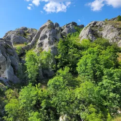 Jelašnica Gorge - Aleksinac