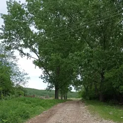 Vrelo River - Aleksinac