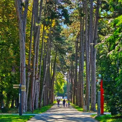 Bukovička Banja Walking Trails - Arandjelovac