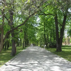 Bukovička Banja - Arandjelovac