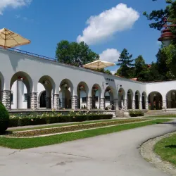 Bukovička Banja - Arandjelovac