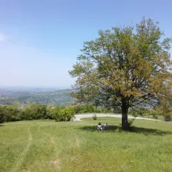 Rajac Mountain - Arandjelovac