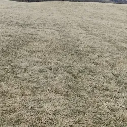 Rajac Mountain - Arandjelovac