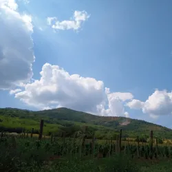 Venčac Mountain - Arandjelovac
