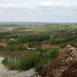 Venčac Mountain - Arandjelovac