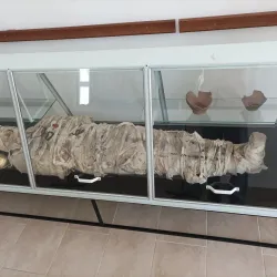 Bačka Palanka Museum - Bačka Palanka