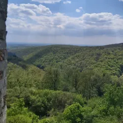 Nature Trails around Bačka Palanka - Bačka Palanka