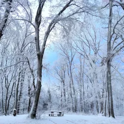 Nature Trails around Bačka Palanka - Bačka Palanka