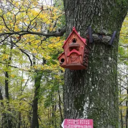 Nature Trails around Bačka Palanka - Bačka Palanka