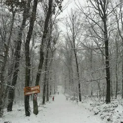 Nature Trails around Bačka Palanka - Bačka Palanka
