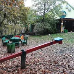 Nature Trails around Bačka Palanka - Bačka Palanka