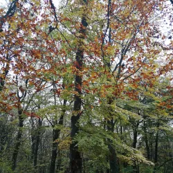 Nature Trails around Bačka Palanka - Bačka Palanka