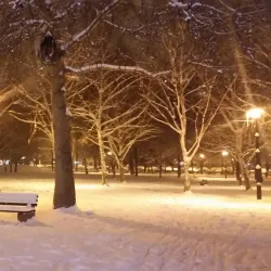 Park Sveti Sava - Bačka Palanka