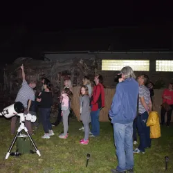 Bečej City Museum - Bečej