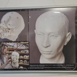 Bečej City Museum - Bečej