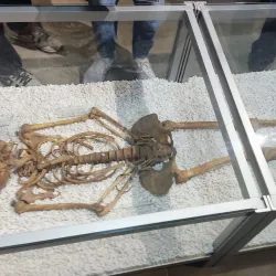 Bečej City Museum - Bečej