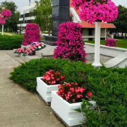 Bečej Cultural Center - Bečej