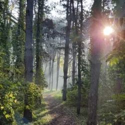 Bečej Park - Bečej