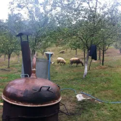 Ethno Village Bečej - Bečej