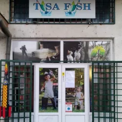 Fishing on the Tisa River - Bečej