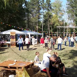 Karađorđe's Park - Bečej