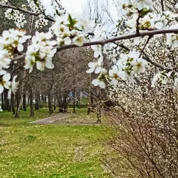 Karađorđe's Park - Bečej