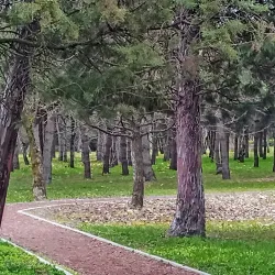 Karađorđe's Park - Bečej