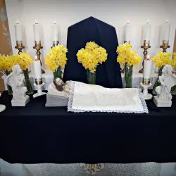 Roman Catholic Church of the Holy Trinity - Bečej