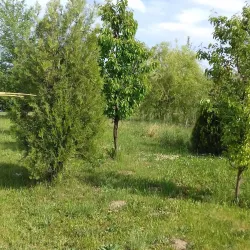 Tisa River Promenade - Bečej