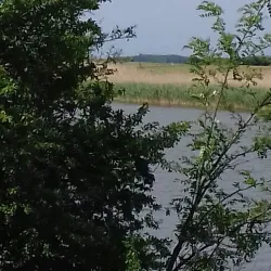 Tisa River Promenade - Bečej