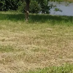 Tisa River Promenade - Bečej