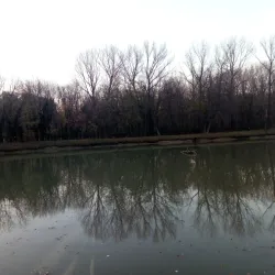 Ada Ciganlija - Belgrade