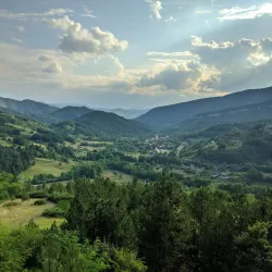 Bor Forest Park - Bor