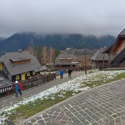 Bor Forest Park - Bor