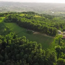 Crveni Breg (Red Hill) - Bor