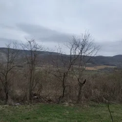 Crveni Breg (Red Hill) - Bor