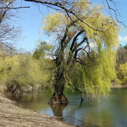 Jezero Bor (Bor Lake Beach Area) - Bor