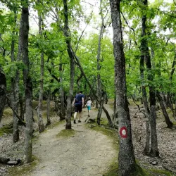 Monastery Vratna - Bor