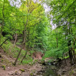 Monastery Vratna - Bor