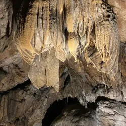 Zlot Caves - Bor
