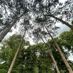 Čačak City Park - Cacak