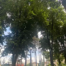 Čačak City Park - Cacak