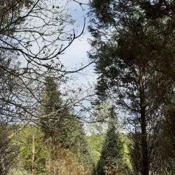 Monastery Tronoša - Cacak