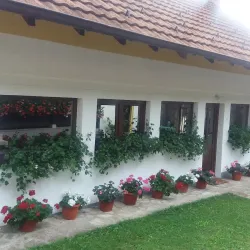 Monastery Vujan - Cacak