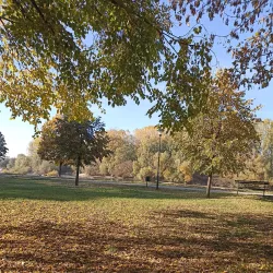 Moravski Park - Cacak