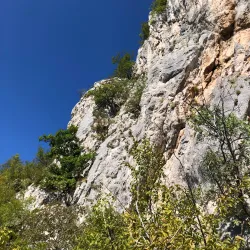 Ovčar-Kablar Gorge - Cacak