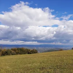 Ovčar-Kablar Gorge - Cacak
